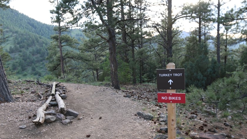 Ladies Chat and Hike