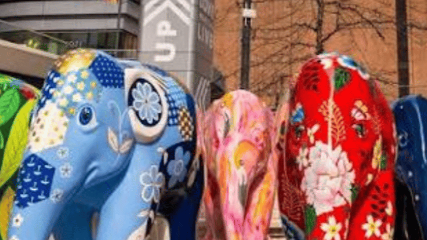 Elephant statue trail